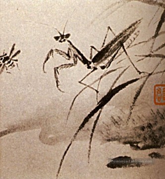  des - Shitao études d’insectes mante 1707 vieille encre de Chine